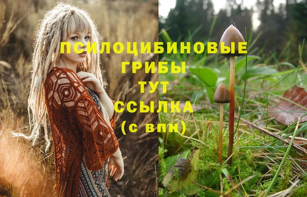 мефедрон Гусиноозёрск
