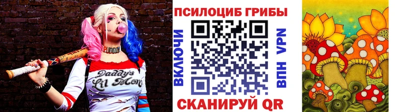 Псилоцибиновые грибы GOLDEN TEACHER  магазин    Озёрск 